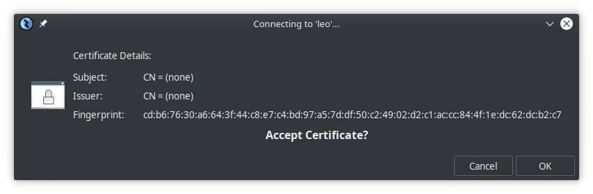 Accept certificate windows on Remmina RDP