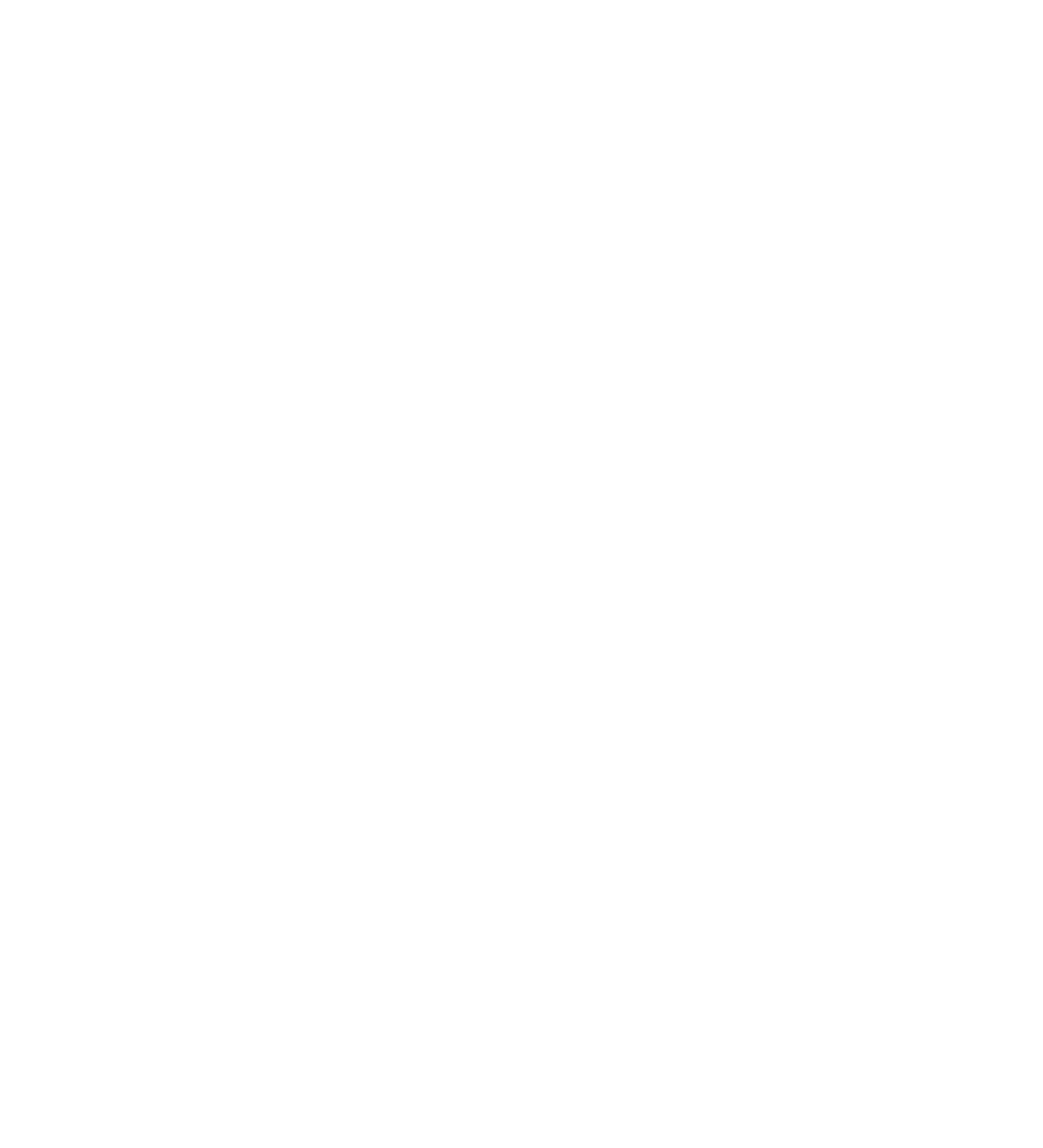 Overview of main features of Raph Rover